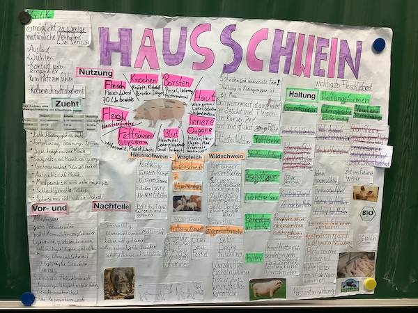 2024_07_01_Bauernhofprojekt9.jpeg